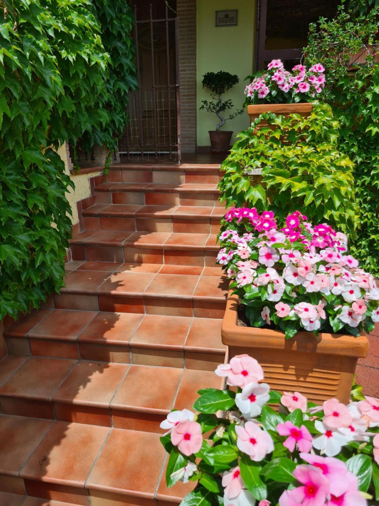 Villa Olga B&B Formia Luaran gambar