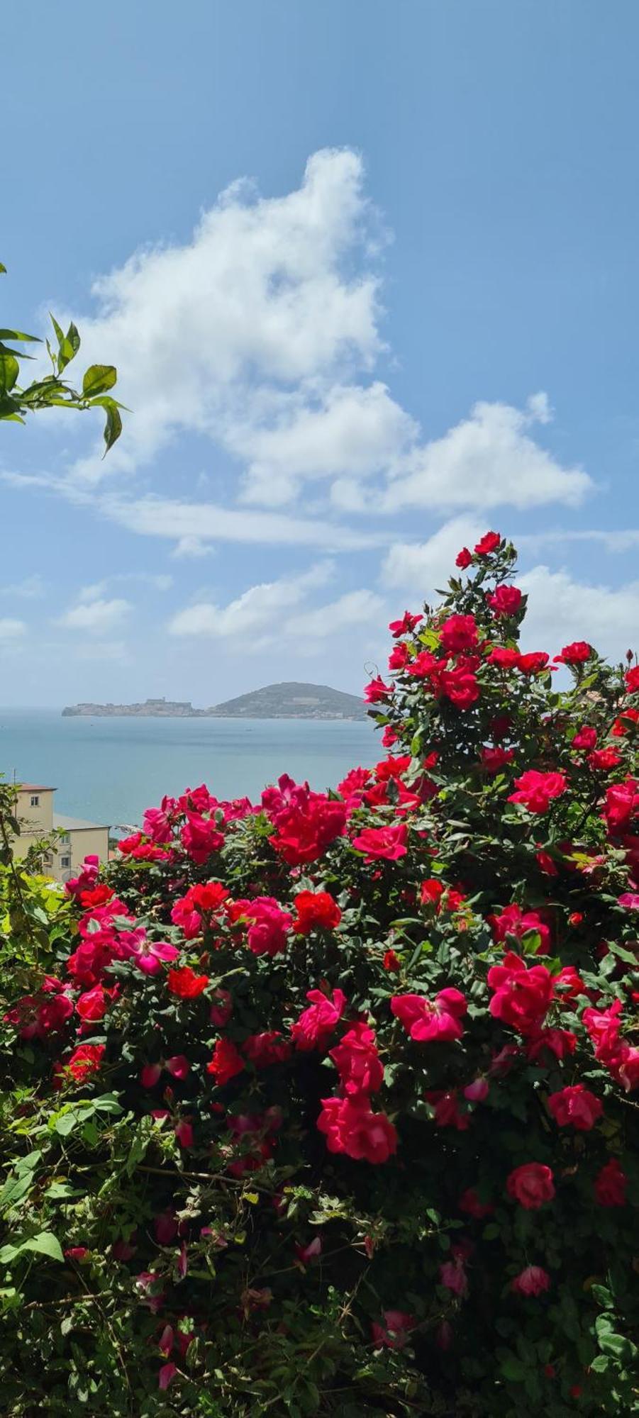 Villa Olga B&B Formia Luaran gambar