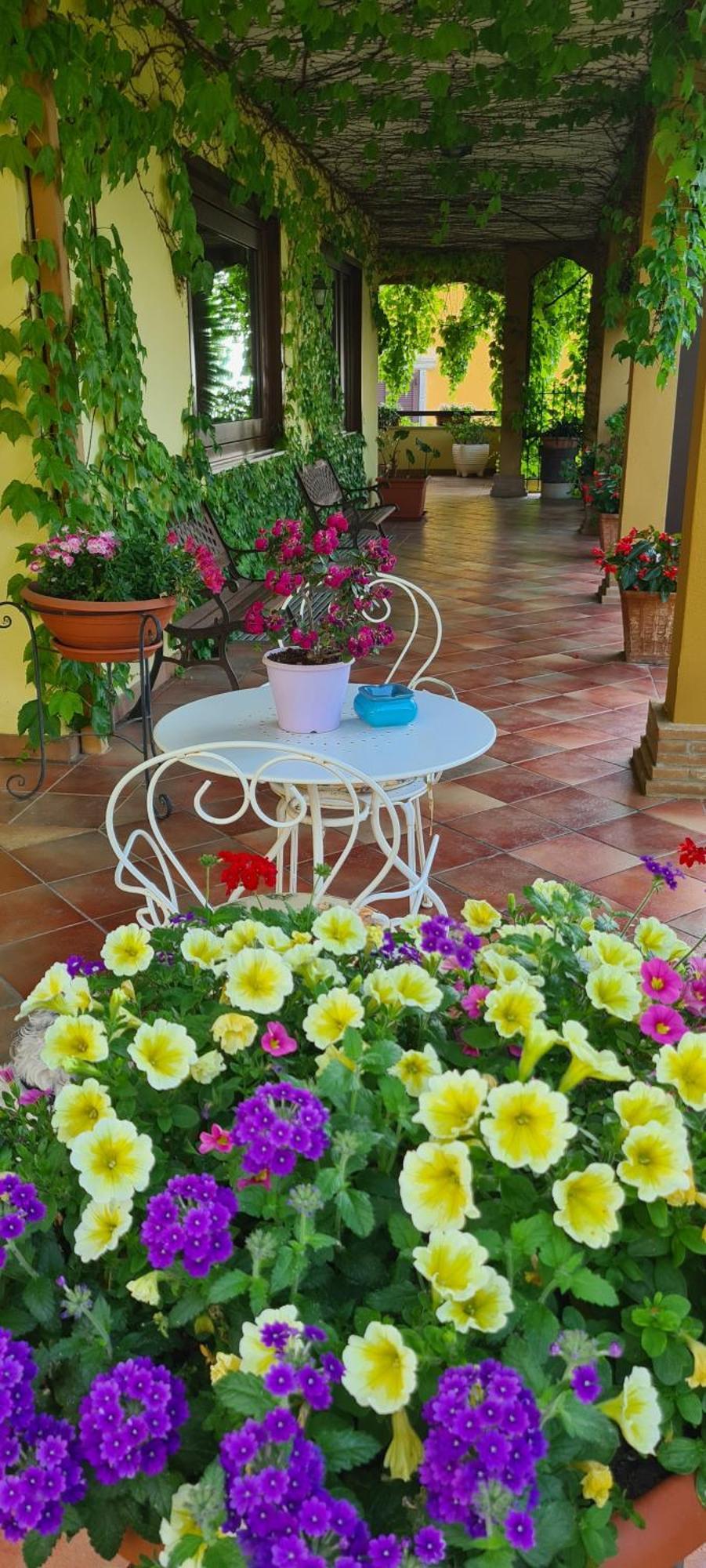 Villa Olga B&B Formia Luaran gambar